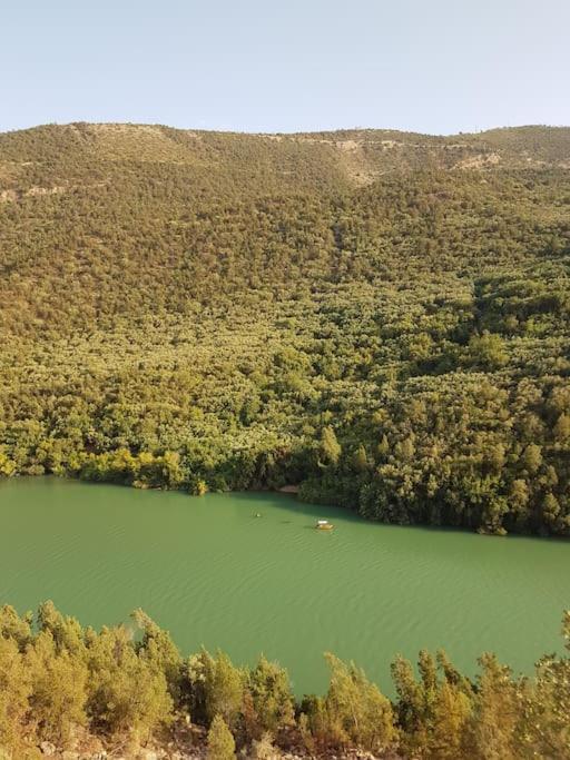 Le Figuier Du Lac Bin Elouidane Εξωτερικό φωτογραφία