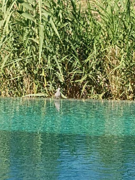 Le Figuier Du Lac Bin Elouidane Εξωτερικό φωτογραφία